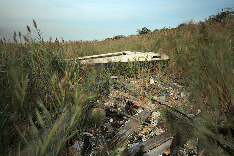 A boat moored in a reedy grave.  