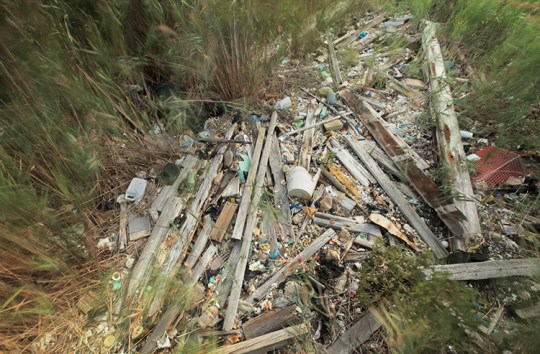 Garbage piled up on the bank.