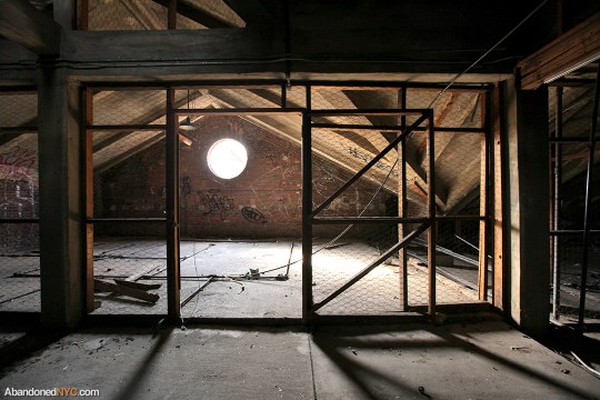 Attic Oculus_Boyce Thompson Institute_5789