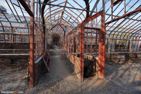 Basement Steps_Boyce Thompson Institute_5876