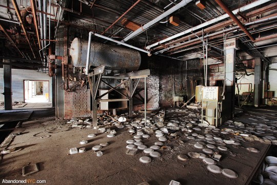 Basement_Boyce Thompson Institute_5819