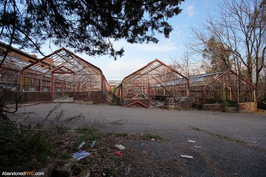 Greenhouses_Boyce Thompson Institute_5893