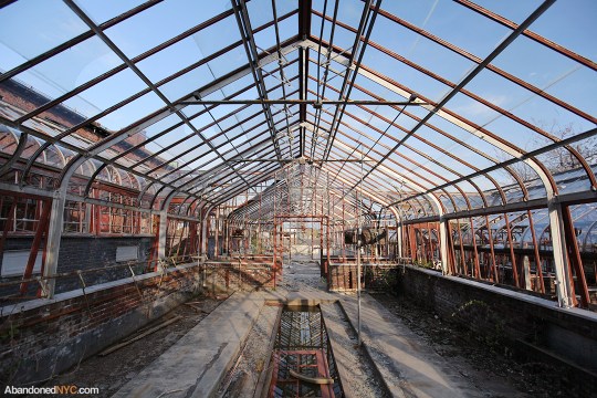 Reflecting Pool_Boyce Thompson Institute_5884
