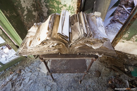 North Brother Island_Abandoned NYC_Will Ellis_03