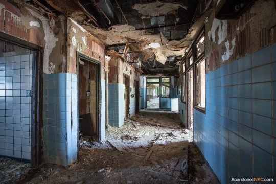 North Brother Island_Abandoned NYC_Will Ellis_07