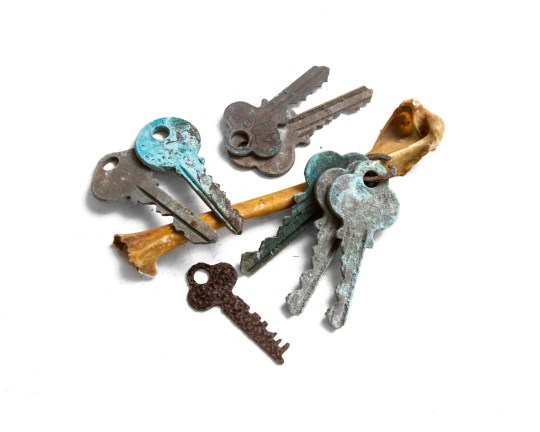 North Brother Island_Abandoned NYC_Will Ellis_Lost and Found