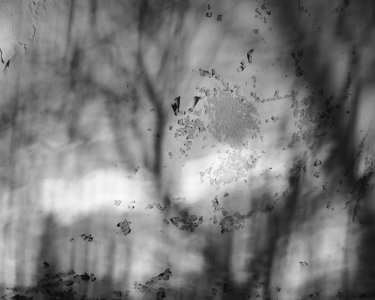 ABANDONED NYC_Will Ellis_Farm Colony-10