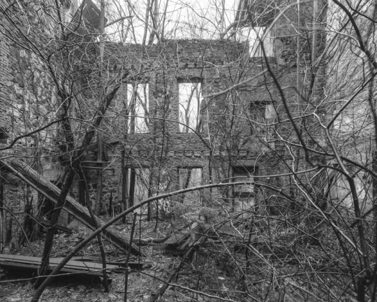 ABANDONED NYC_Will Ellis_Farm Colony-12