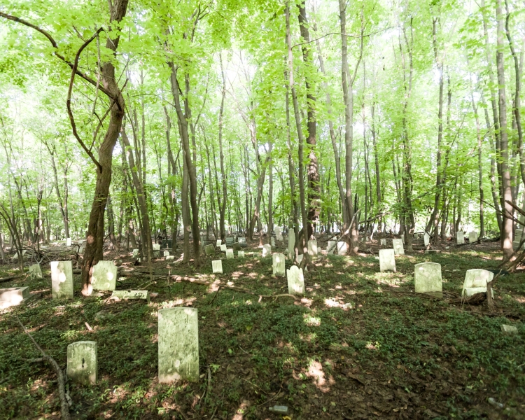 Will Ellis_Old Dutch Cemetery_AbandonedNYC-10