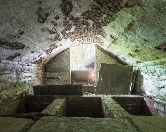 Will Ellis_Old Dutch Cemetery_AbandonedNYC-5