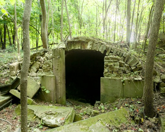 Will Ellis_Old Dutch Cemetery_AbandonedNYC-8