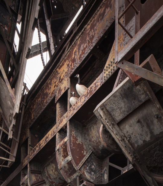Abandoned NYC_McMyler Coal Dumper_Will Ellis-9